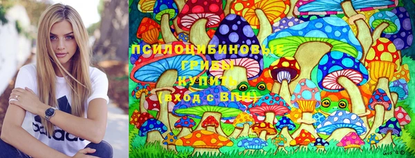 метадон Арсеньев