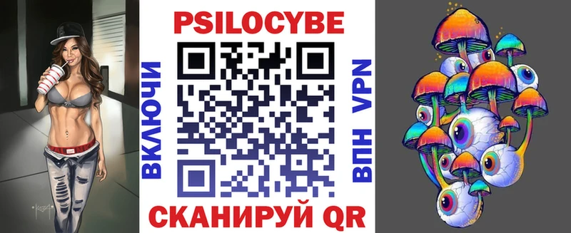 дарнет шоп  Протвино  Псилоцибиновые грибы GOLDEN TEACHER 